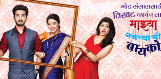 zee marathi serials list 2015